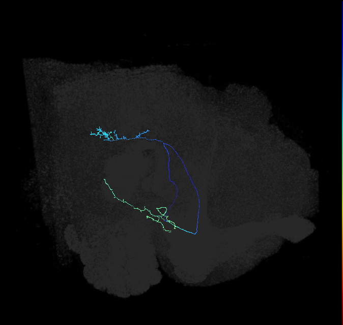 AVL04u_b_pct_R