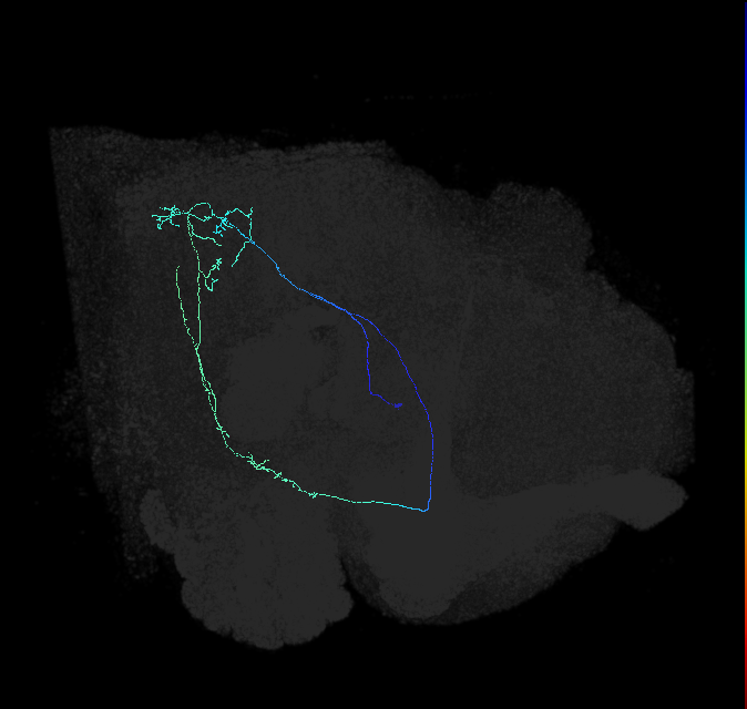 AVL04v_a_pct_R