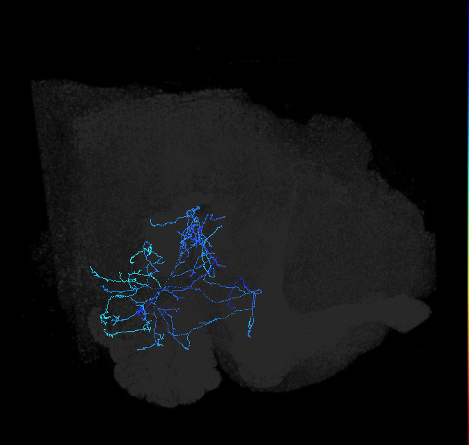AVL02lf_pct_R