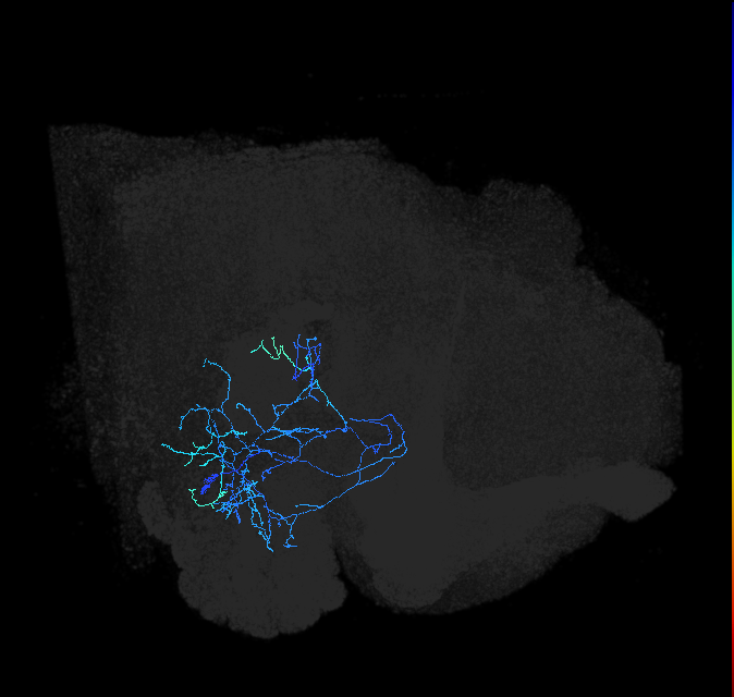 AVL02lf_pct_R