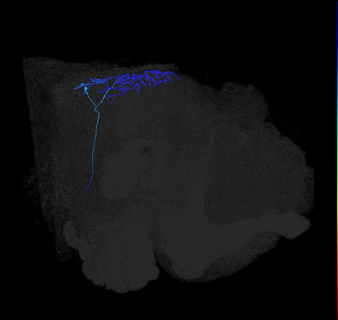 (PVF4)_R