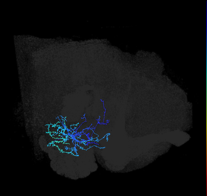 AVL02ok_pct_R