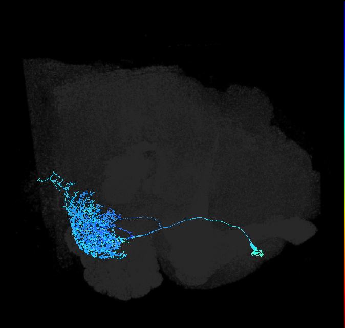 ADL28a_pct_R