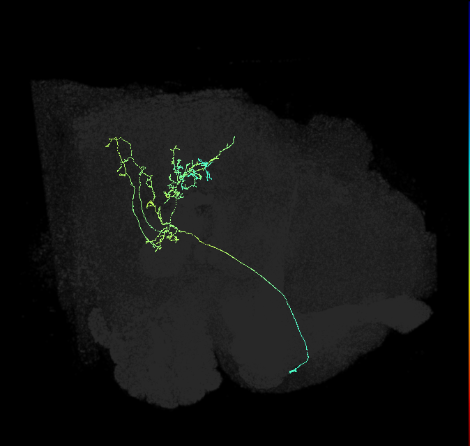 ADM03li_pct_R