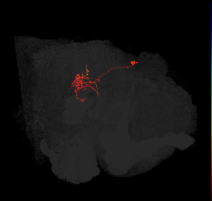 (PDM19)_L