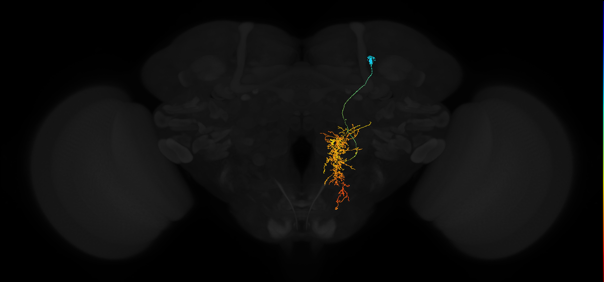 ADM03la_pct_R