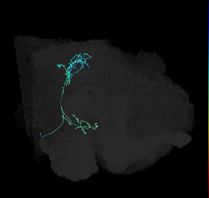 AVL01lj_pct_R