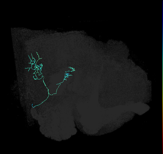 AVL01oh_pct_R