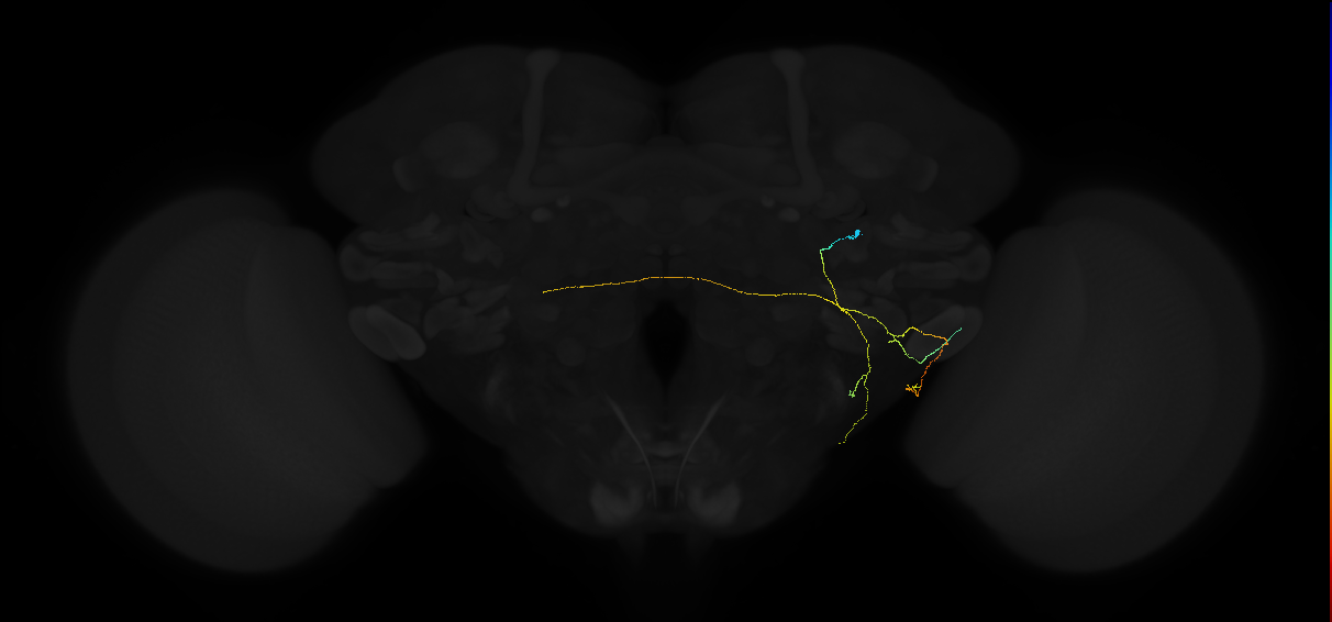 AVL05f_pct_R