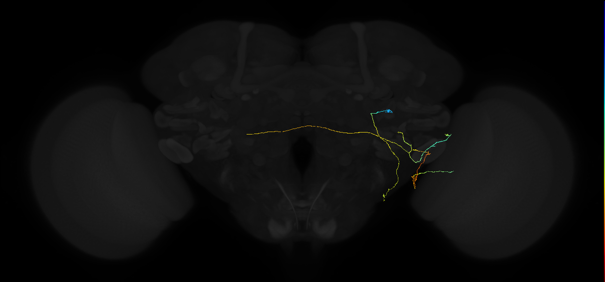 AVL05f_pct_R