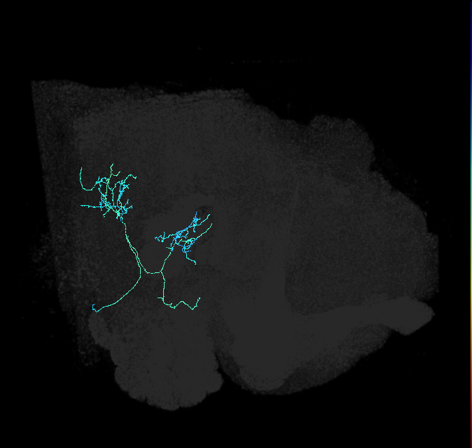 AVL01oh_pct_R