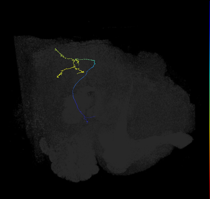 (aIP6)(lVLPT8)_R