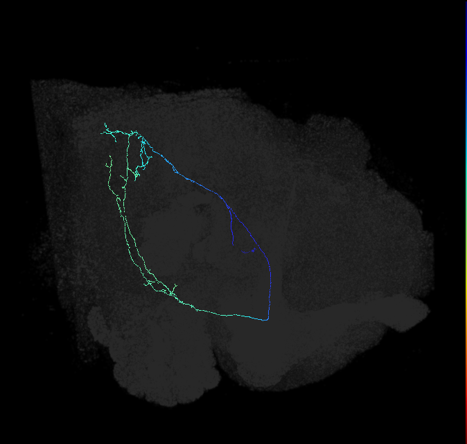 AVL04v_a_pct_R