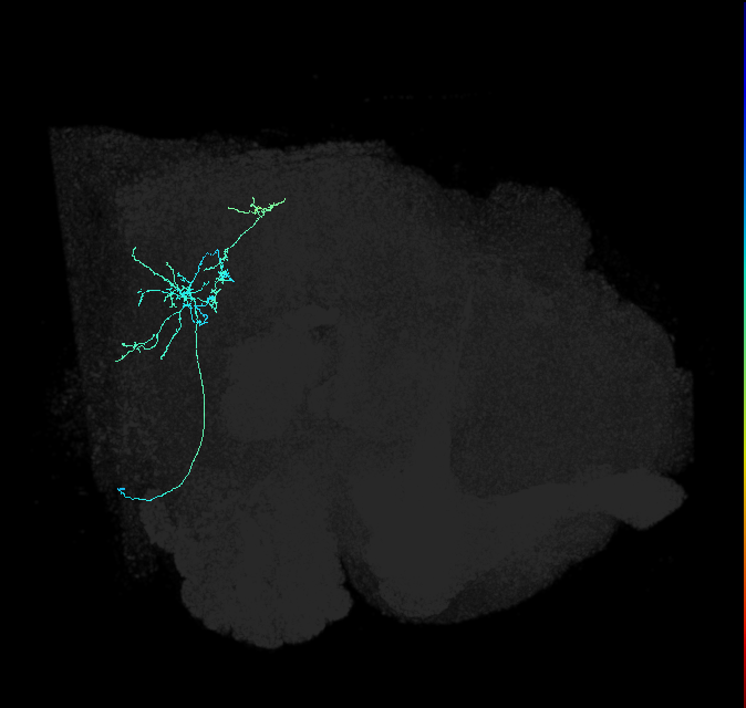 AVL01a_b_pct_R
