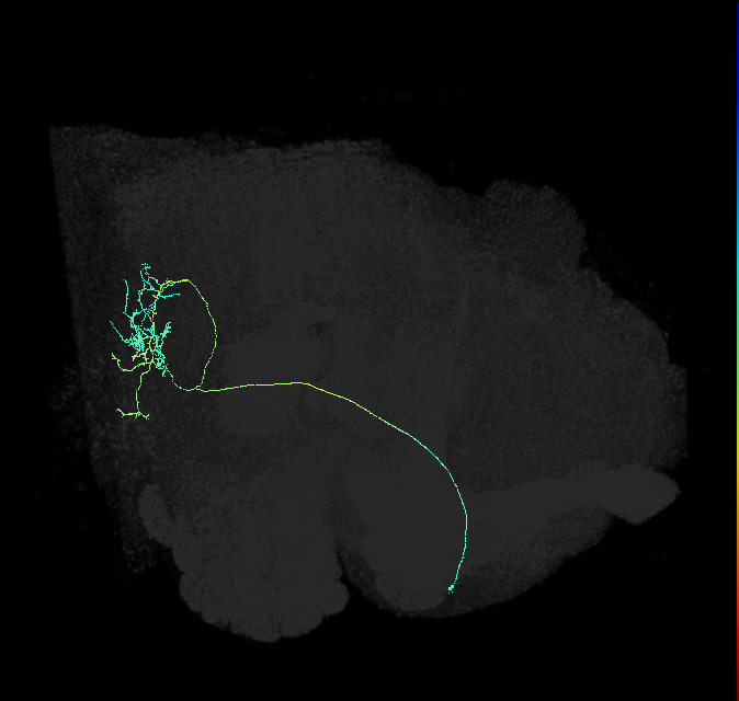 ADM06s_pct(aSP18a)_R