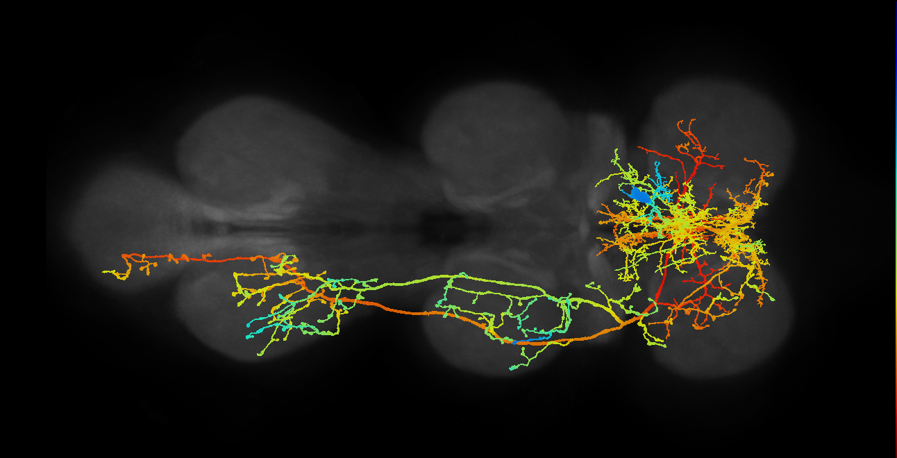 IN27X003_T1_R (MANC:10348)