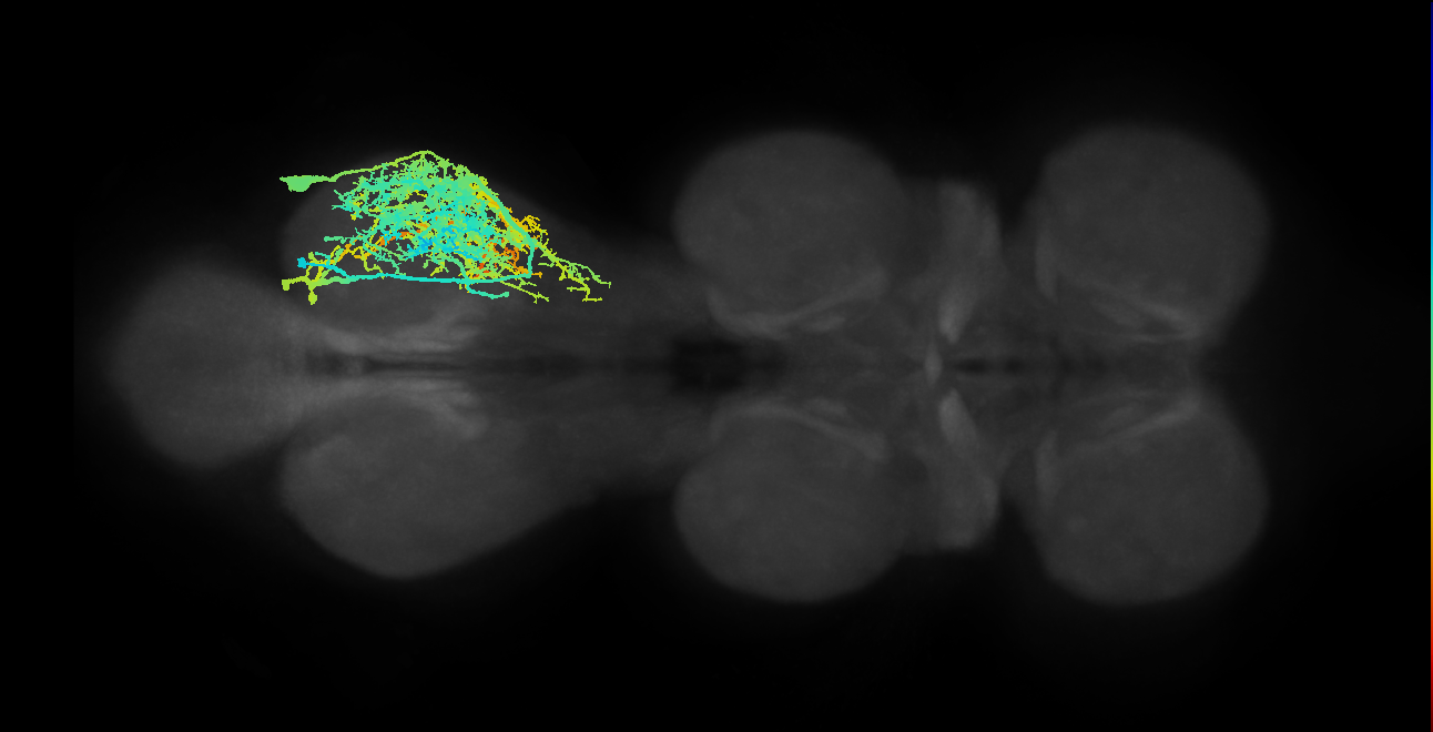 IN09A002_T3_R (MANC:10380)