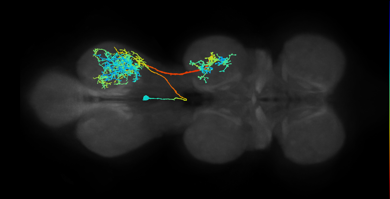 IN02A002_T3_R (MANC:10421)