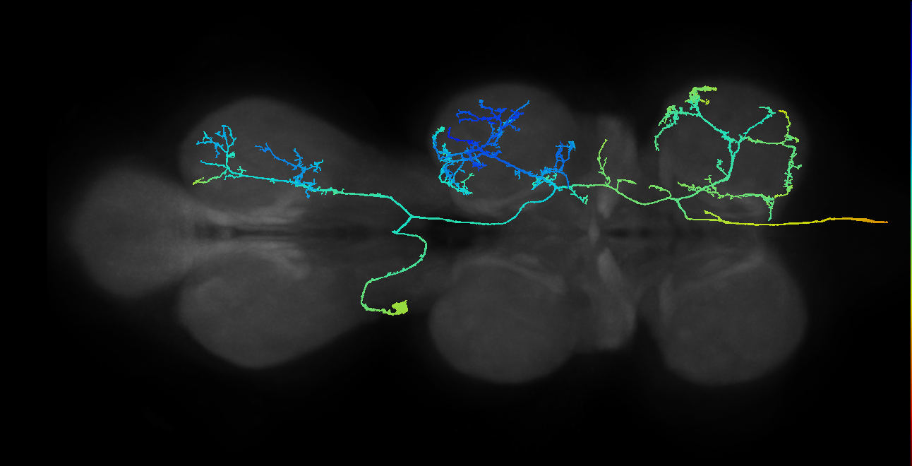 AN09B005_T3_L (MANC:10448)