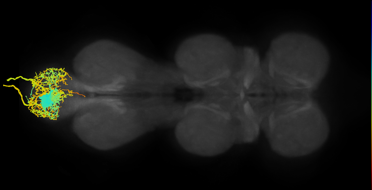 EN00B001_A8_M (MANC:10493)