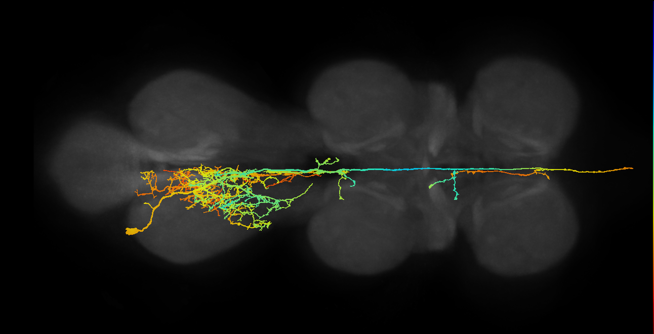 AN17A022_A1_L (MANC:10898)