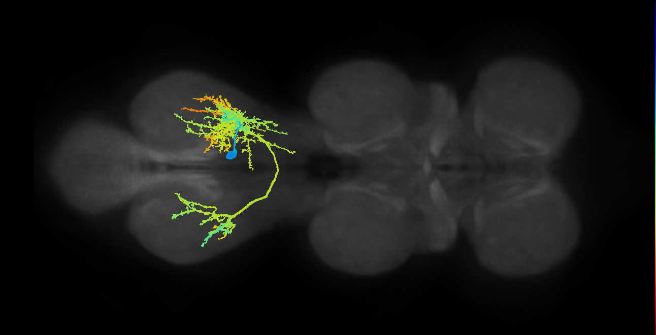 IN07B009_T3_R (MANC:10994)
