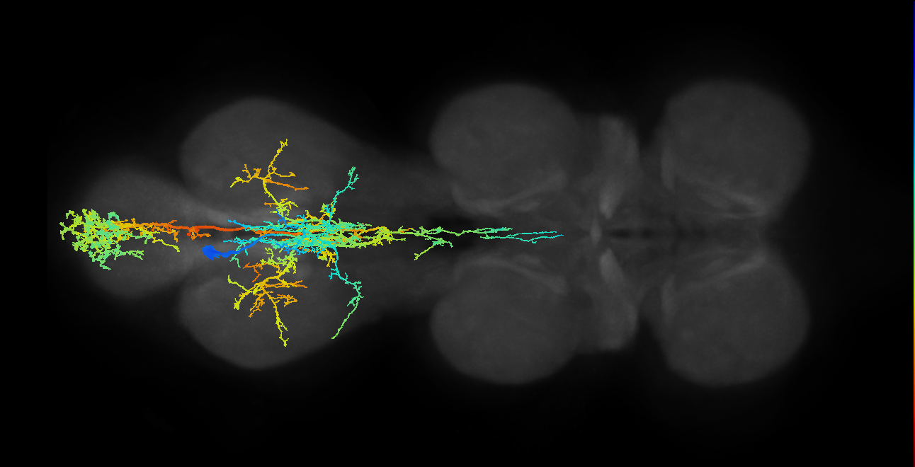 IN10B001_A1_L (MANC:11250)