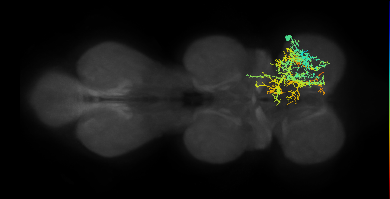 IN20A.22A004_T1_R (MANC:11396)