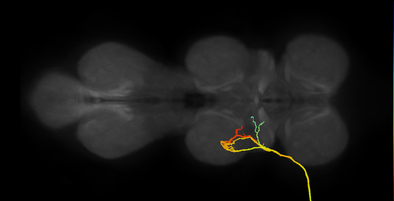 SNpp05_ADMN_L (MANC:11712)