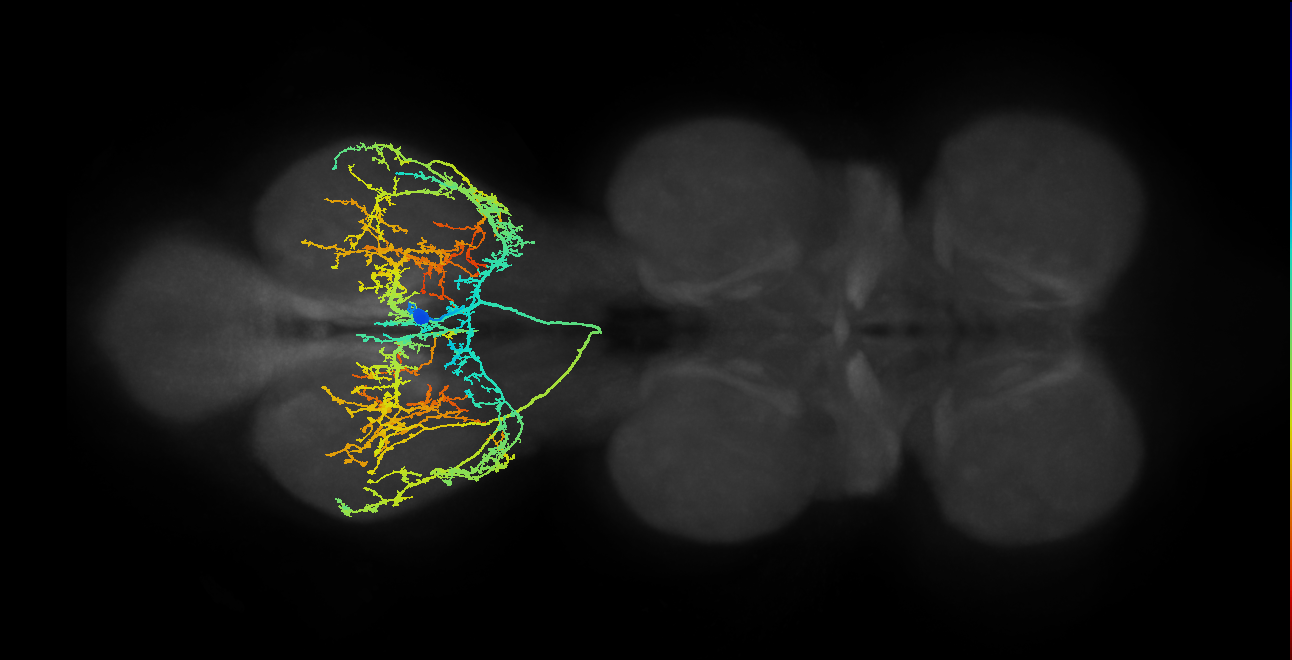 IN10B002_T3_R (MANC:11722)