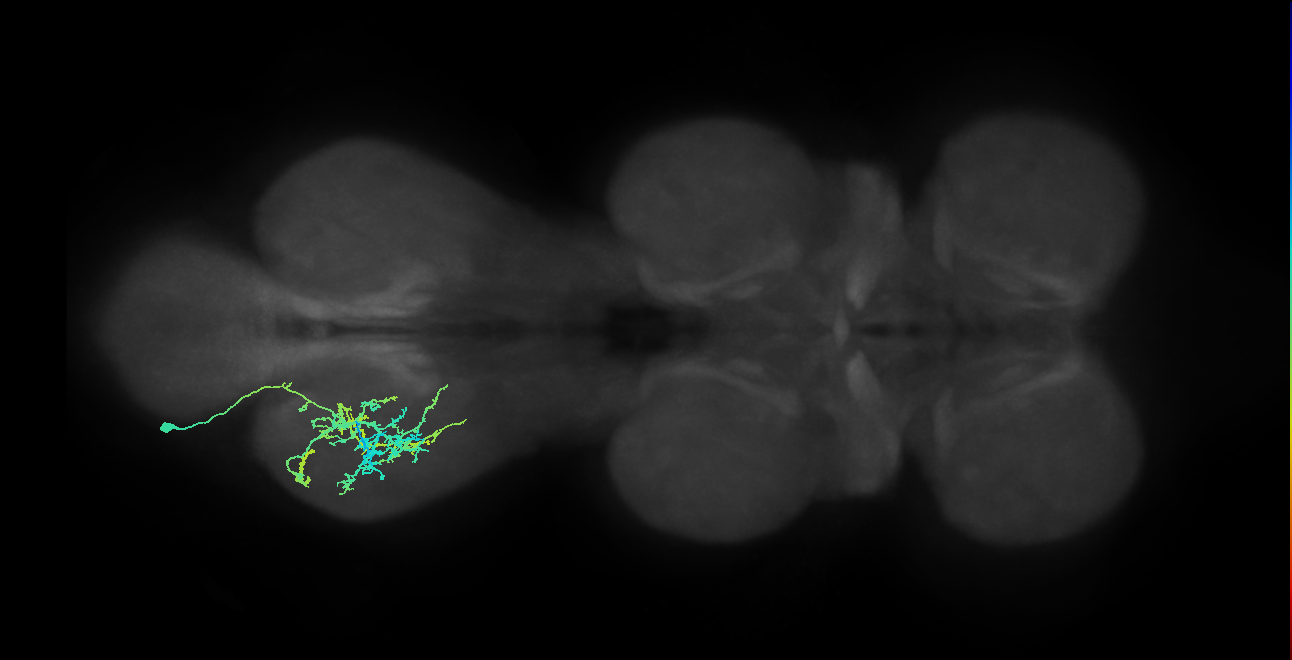 IN20A.22A014_T3_L (MANC:11764)