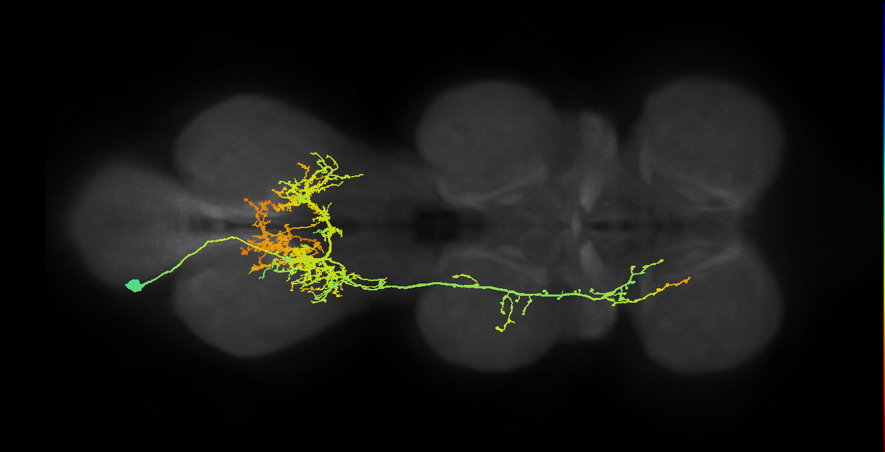 IN03B027_T3_L (MANC:11956)