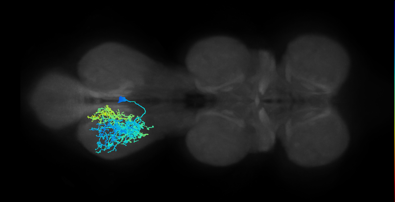 IN14A001_T3_R (MANC:12006)