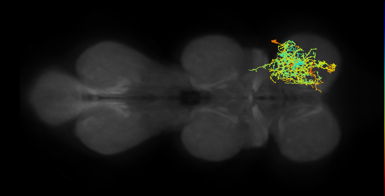 IN21A016_T1_R (MANC:12233)