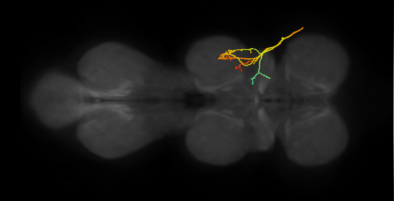 SNpp05_ADMN_R (MANC:12780)