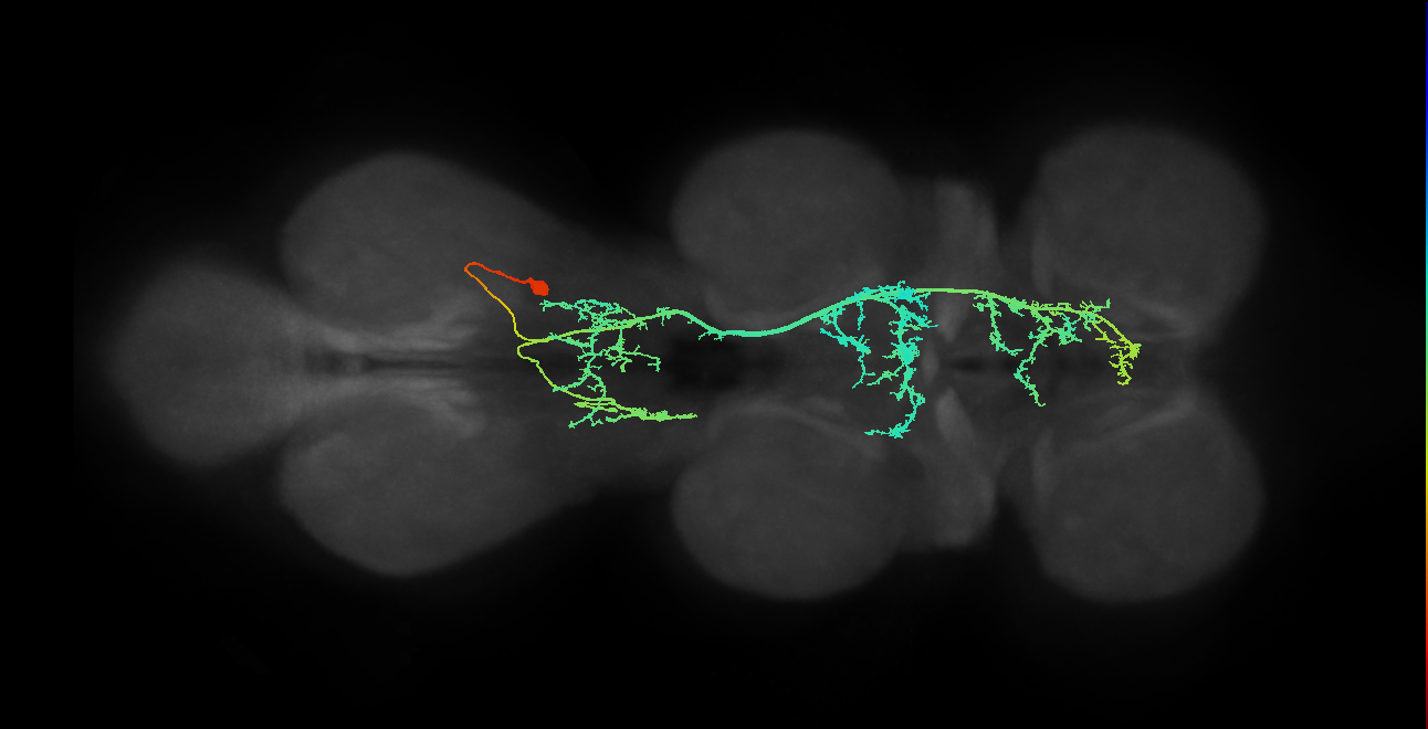 IN23B003_T3_R (MANC:13018)