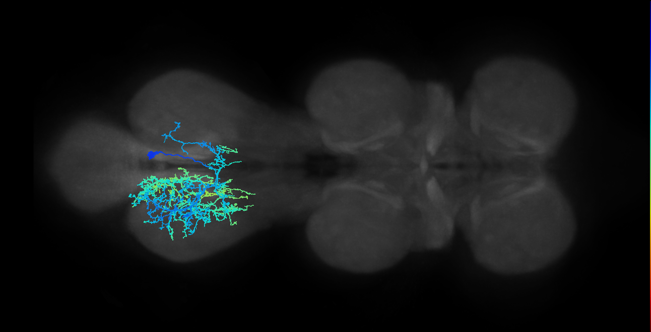 IN14A001_T3_R (MANC:13057)