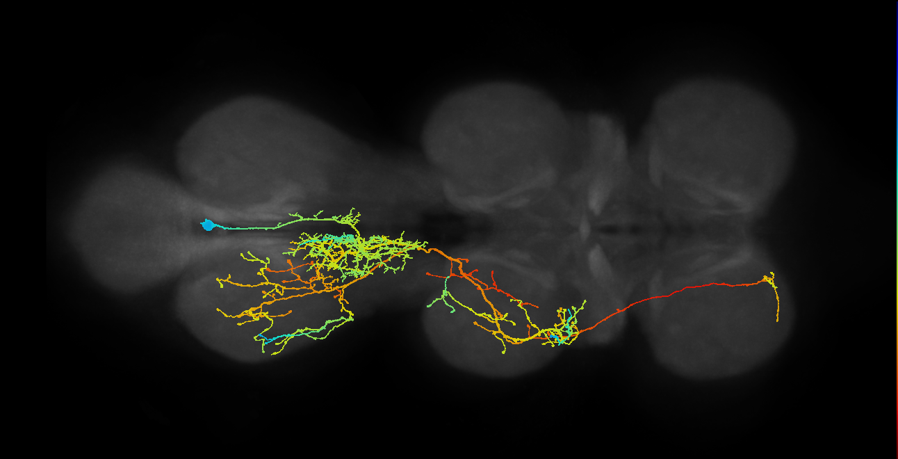 IN06B027_T3_R (MANC:13123)