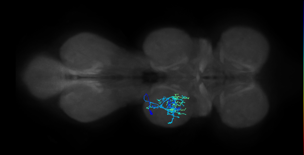 IN20A.22A012_T2_L (MANC:13204)