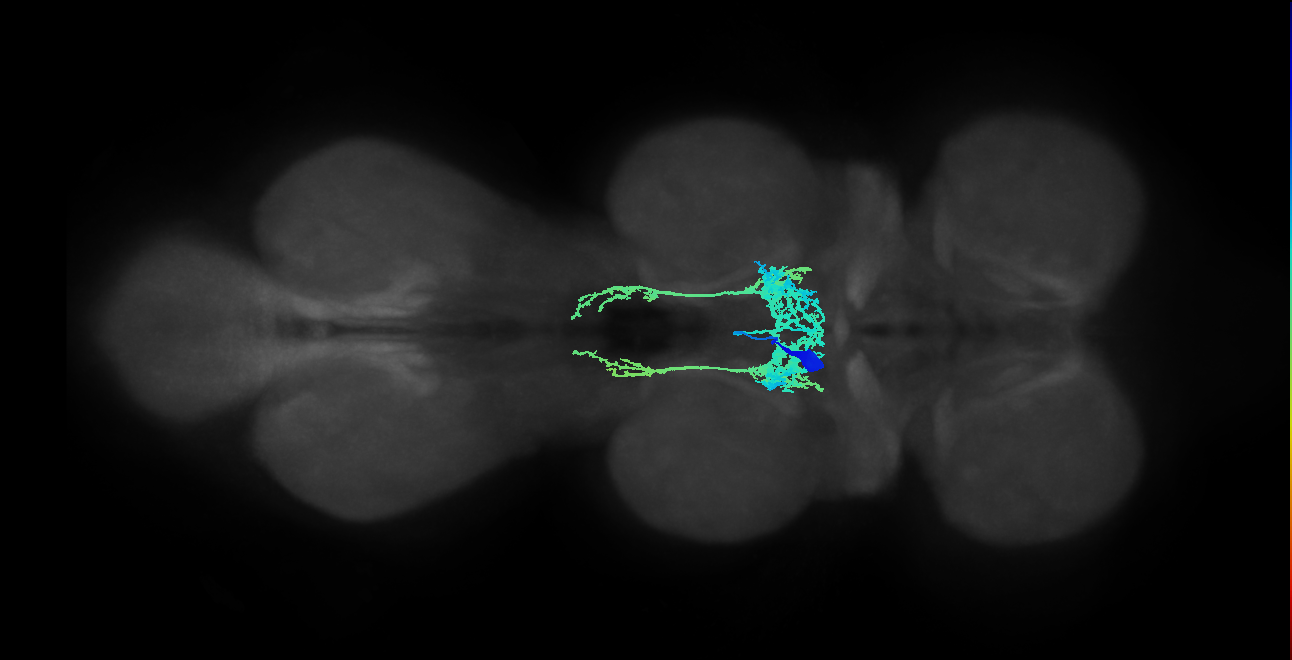 IN00A023_T2_M (MANC:13402)