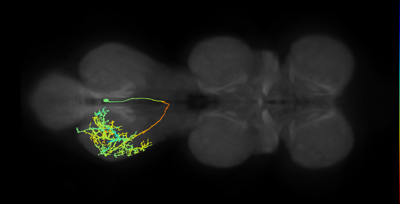 IN06B026_T3_R (MANC:13421)