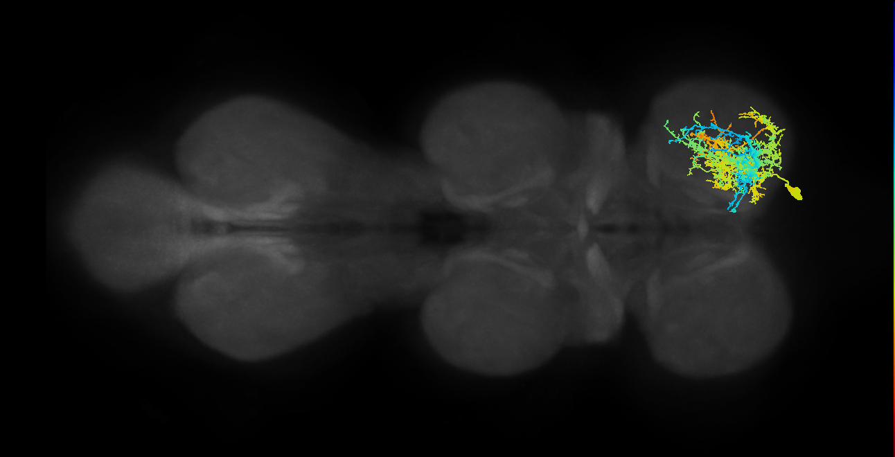 IN16B007_T1_R (MANC:13500)