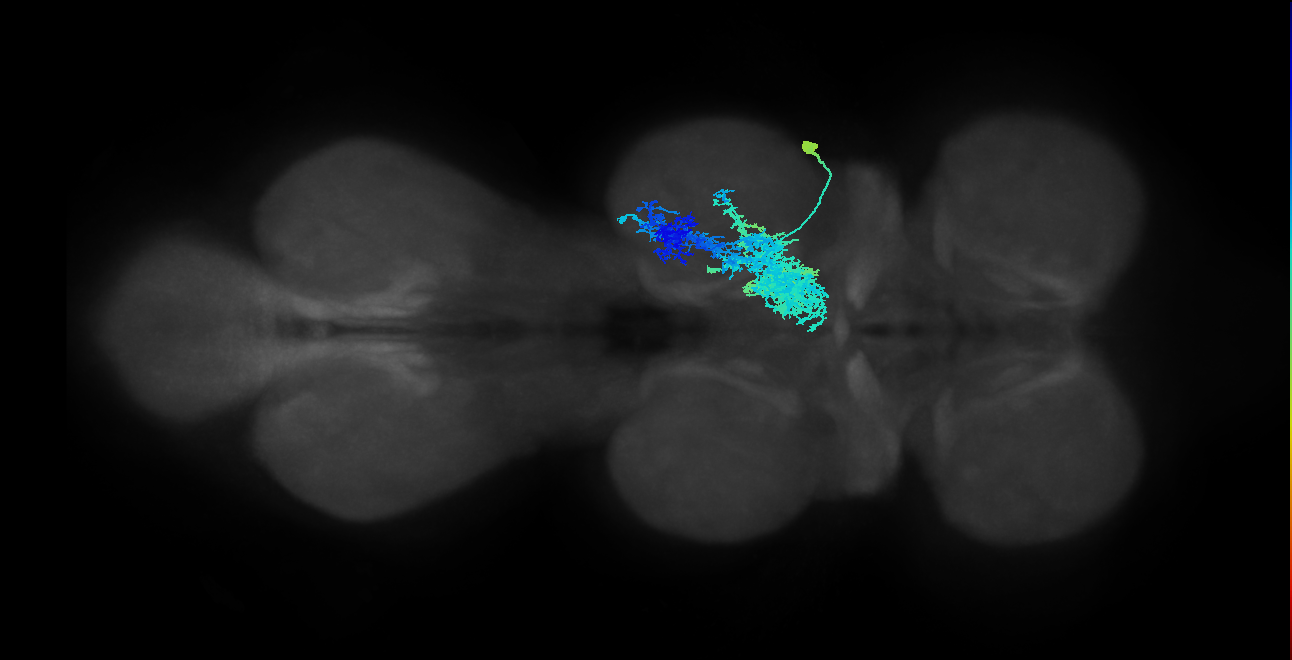 IN09A012_T2_R (MANC:13594)