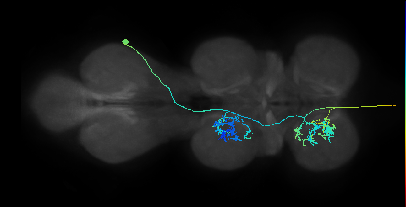 AN09B013_T3_R (MANC:13618)