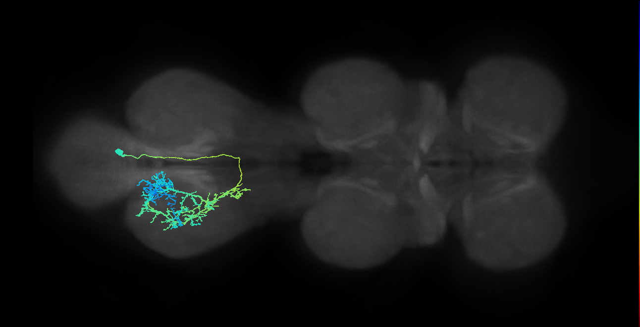 IN12B010_T3_R (MANC:13681)