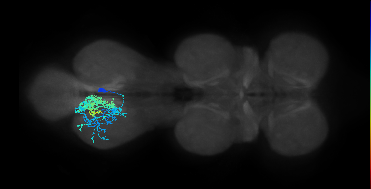 IN14A006_T3_R (MANC:13737)