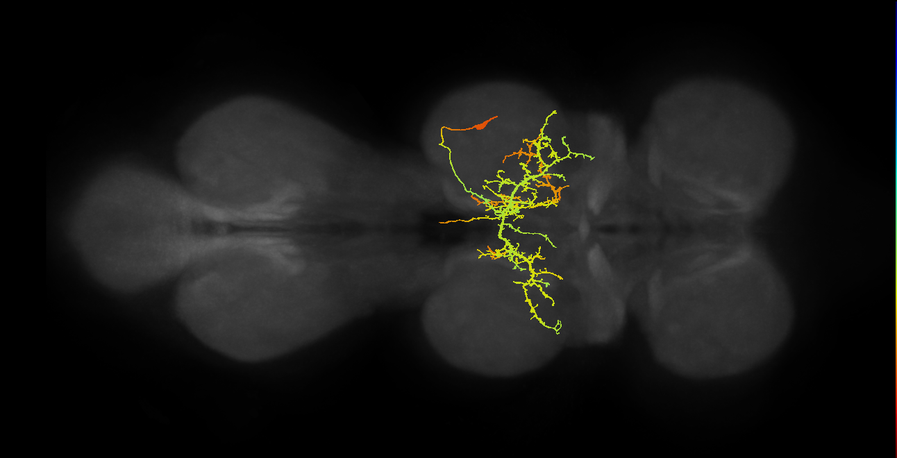 IN11A027_T2_R (MANC:13738)