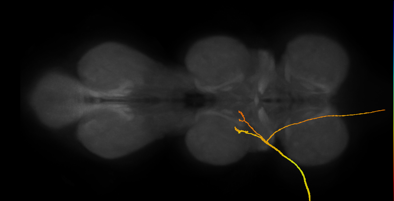 SApp04_ADMN_L (MANC:13831)