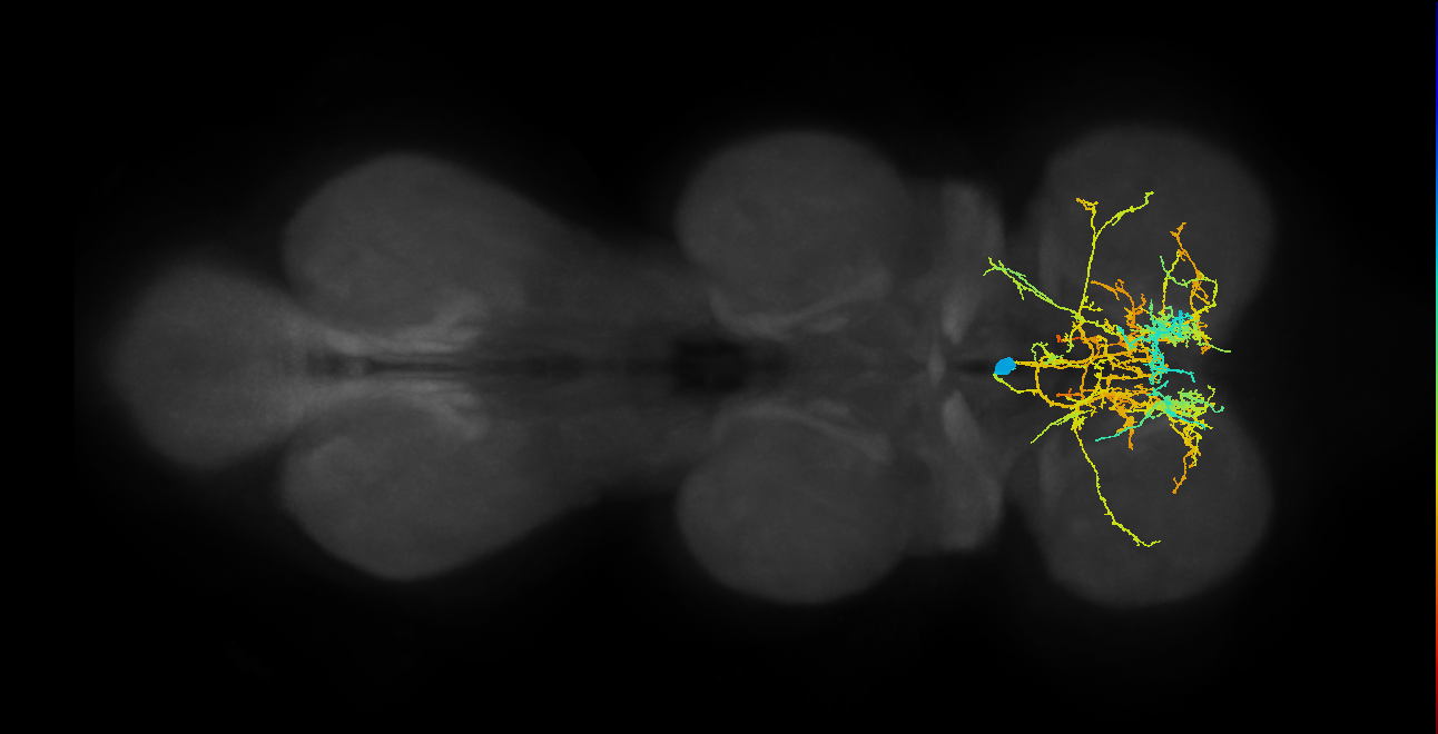 IN00A024_T1_M (MANC:14052)