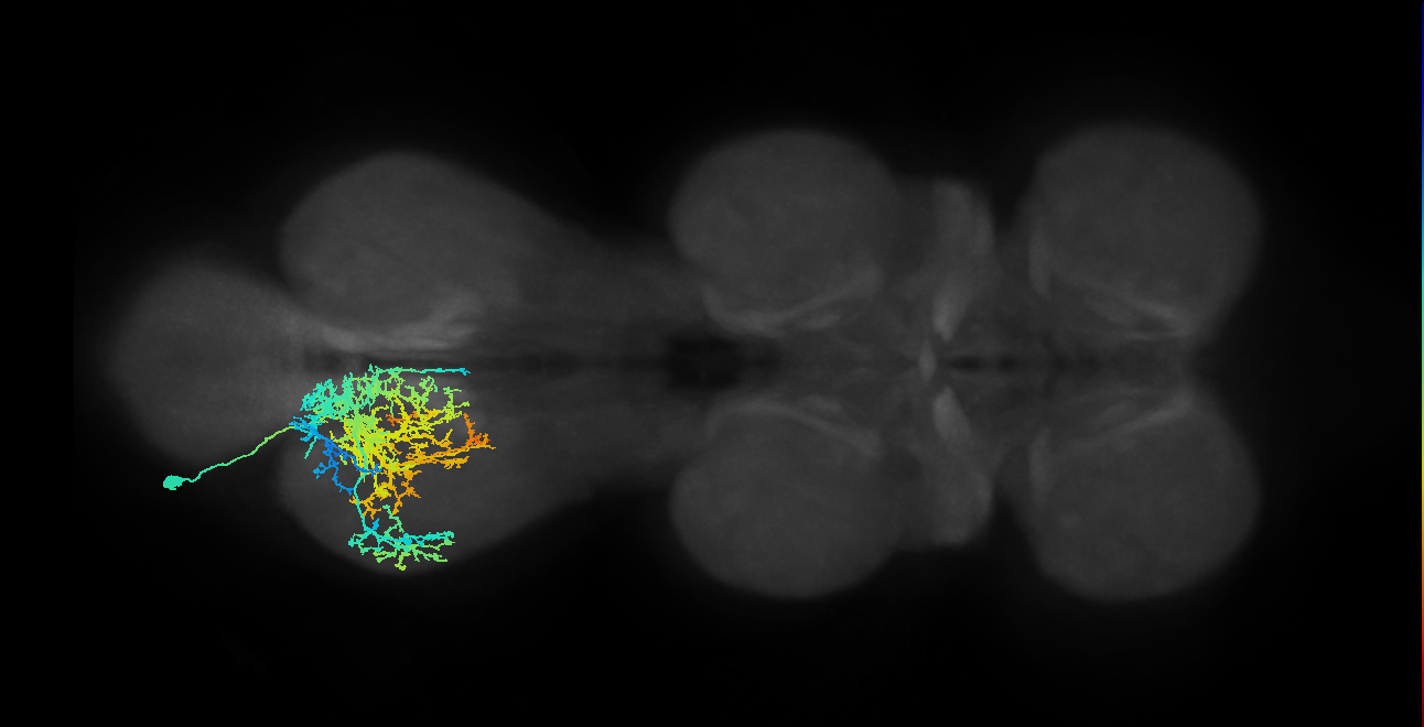 IN20A.22A005_T3_L (MANC:14082)